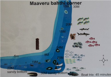 Maavaru Bahthi Corner